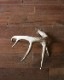 Deer Antler L-No.04�ü��γ� L-No.04