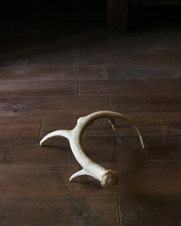 Deer Antler L-No.06�ü��γ� L-No.06