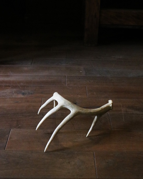 Deer Antler L-No.06�ü��γ� L-No.06