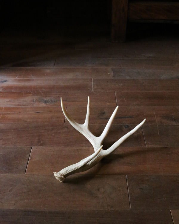 Deer Antler L-No.06�ü��γ� L-No.06