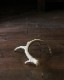 Deer Antler L-No.06�ü��γ� L-No.06