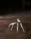Deer Antler L-No.06�ü��γ� L-No.06