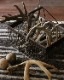 Deer Antler L-No.06�ü��γ� L-No.06