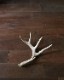 Deer Antler L-No.06�ü��γ� L-No.06