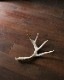 Deer Antler L-No.06�ü��γ� L-No.06