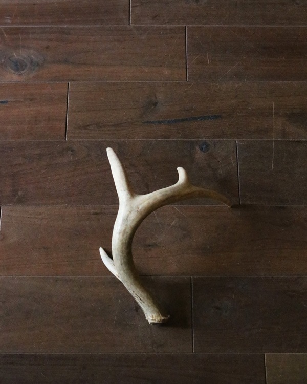 Deer Antler L-No.07�ü��γ� L-No.07