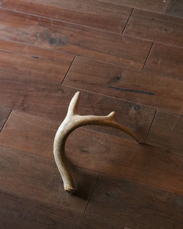 Deer Antler L-No.07�ü��γ� L-No.07