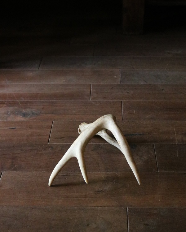 Deer Antler L-No.07�ü��γ� L-No.07