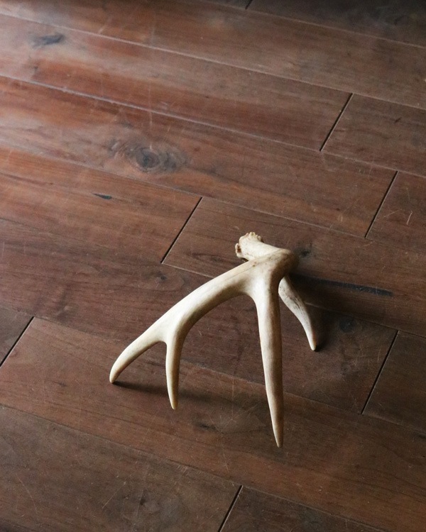 Deer Antler L-No.07�ü��γ� L-No.07