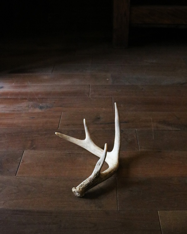 Deer Antler L-No.07�ü��γ� L-No.07