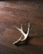 Deer Antler L-No.07�ü��γ� L-No.07