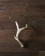 Deer Antler L-No.07�ü��γ� L-No.07
