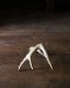 Deer Antler L-No.07�ü��γ� L-No.07
