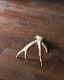 Deer Antler L-No.07�ü��γ� L-No.07