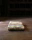 Camp Blanket /B�å����ץ֥�󥱥å�