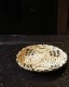 Native American Horsehair Basket Tray�åͥ��ƥ��֥���ꥫ�� ���ӤΥХ����åȥȥ졼