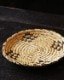 Native American Horsehair Basket Tray�åͥ��ƥ��֥���ꥫ�� ���ӤΥХ����åȥȥ졼