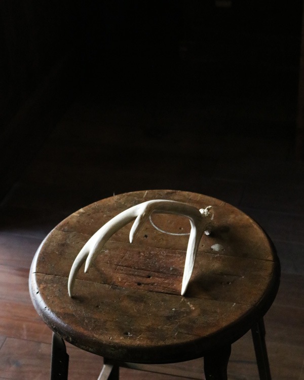 Deer Antler S-No.01üγ S-No.01