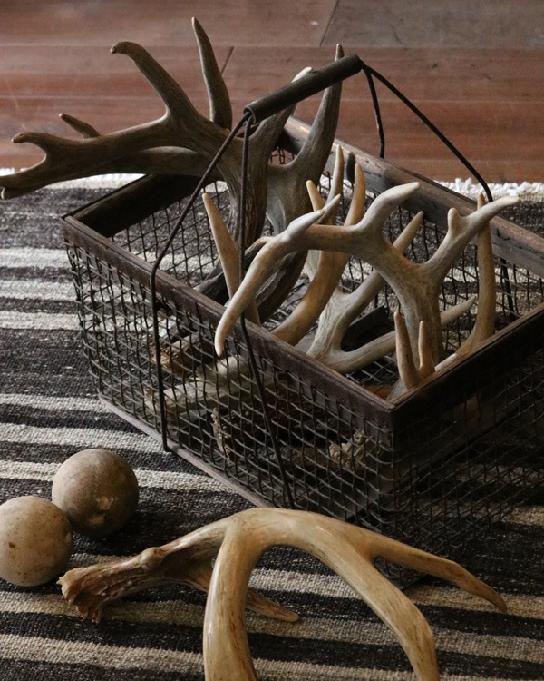 Deer Antler S-No.01üγ S-No.01