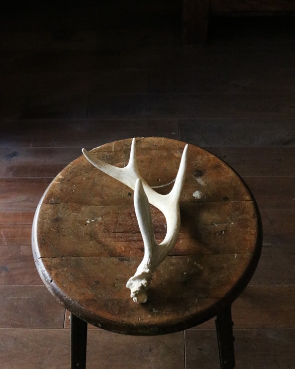 Deer Antler S-No.01üγ S-No.01