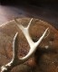 Deer Antler S-No.01üγ S-No.01