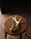 Deer Antler S-No.01üγ S-No.01