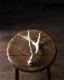 Deer Antler S-No.01üγ S-No.01