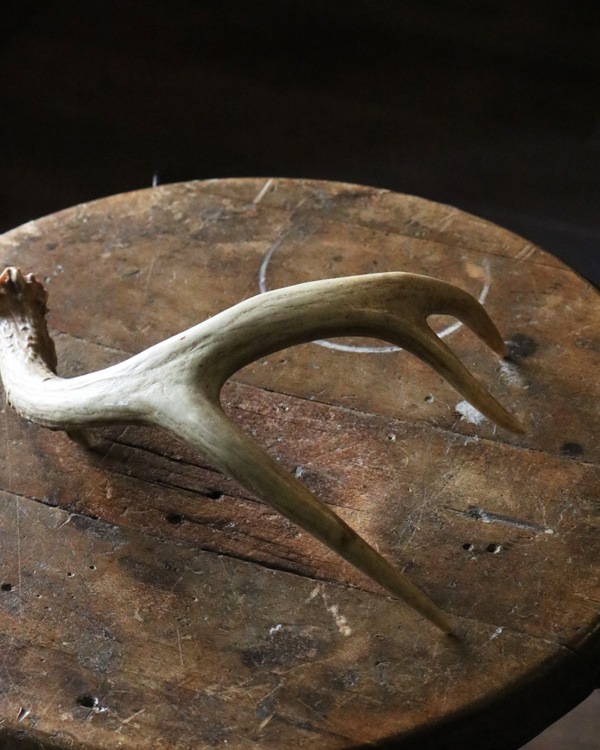 Deer Antler S-No.03�ü��γ� S-No.03