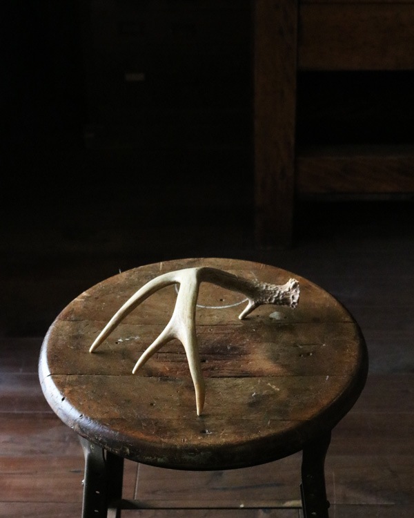 Deer Antler S-No.03�ü��γ� S-No.03