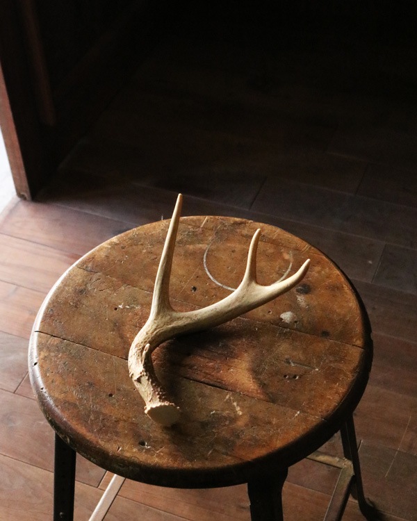 Deer Antler S-No.03�ü��γ� S-No.03