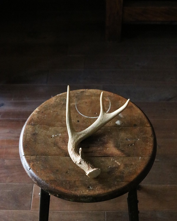 Deer Antler S-No.03�ü��γ� S-No.03