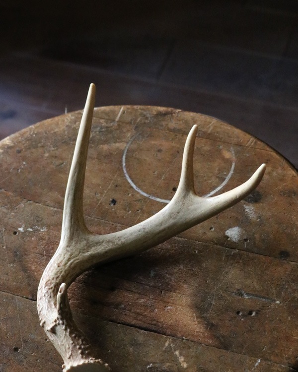 Deer Antler S-No.03�ü��γ� S-No.03