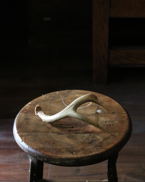 Deer Antler S-No.03�ü��γ� S-No.03