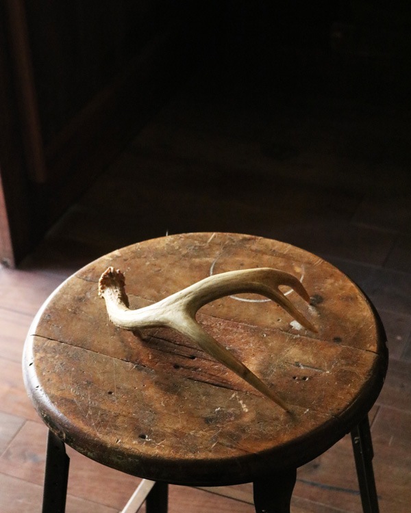 Deer Antler S-No.03�ü��γ� S-No.03