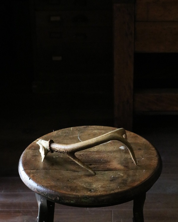 Deer Antler S-No.05�ü��γ� S-No.05