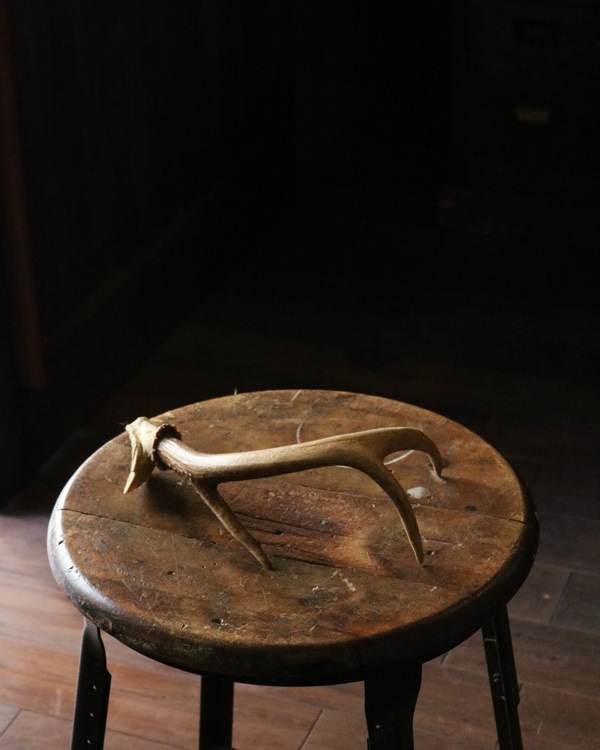 Deer Antler S-No.05�ü��γ� S-No.05