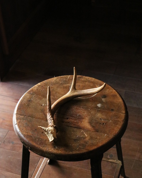 Deer Antler S-No.05�ü��γ� S-No.05