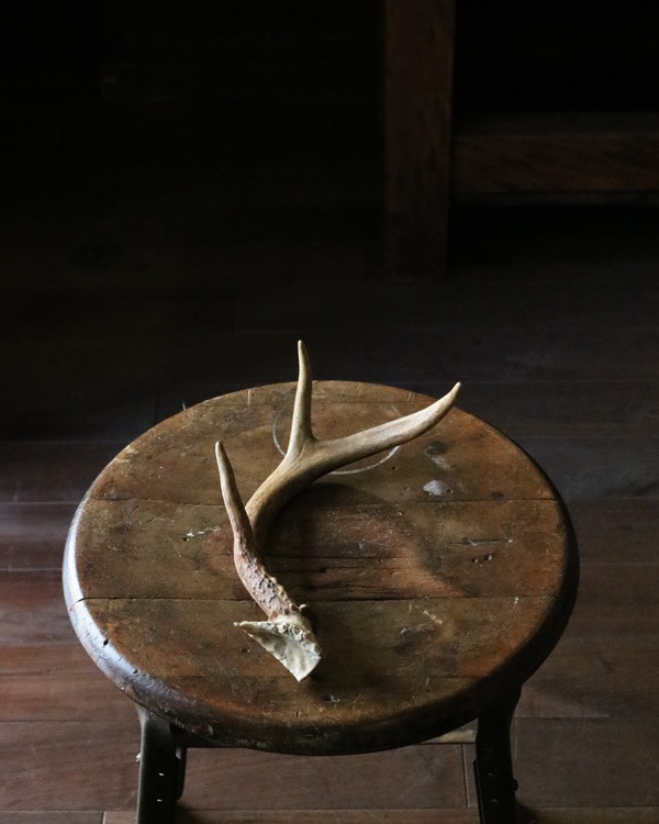 Deer Antler S-No.05�ü��γ� S-No.05