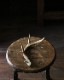 Deer Antler S-No.05�ü��γ� S-No.05