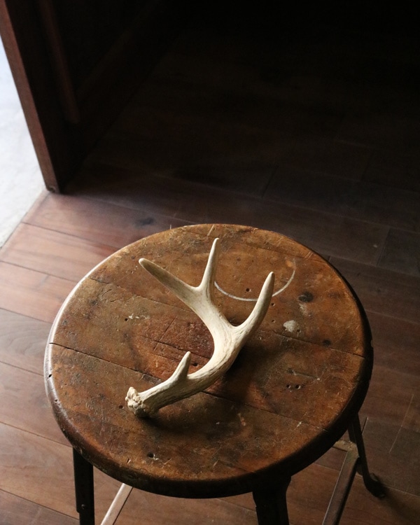 Deer Antler S-No.02�ü��γ� S-No.02