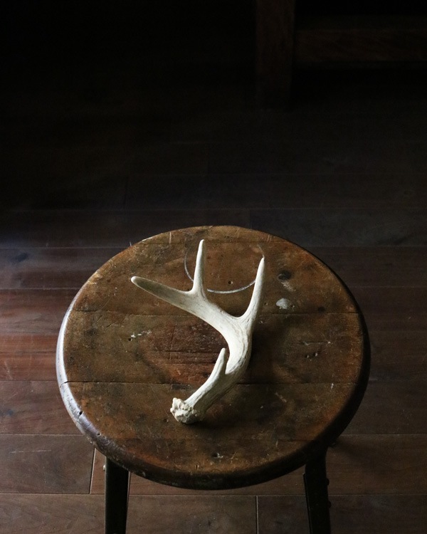 Deer Antler S-No.02�ü��γ� S-No.02