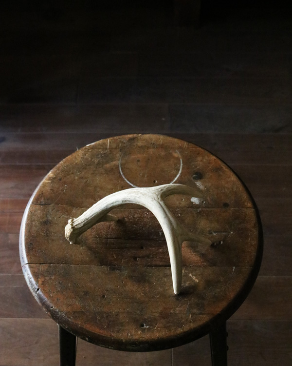Deer Antler S-No.02�ü��γ� S-No.02