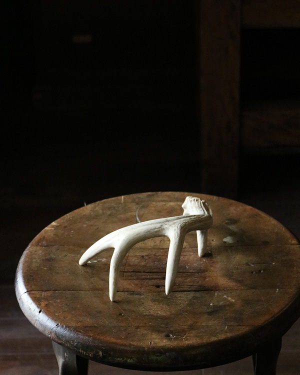 Deer Antler S-No.02�ü��γ� S-No.02