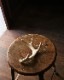 Deer Antler S-No.02�ü��γ� S-No.02