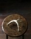 Deer Antler S-No.02�ü��γ� S-No.02