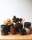 Old Brown Crock OC-002ƫ參ȥ꡼Ω Brown OC-002