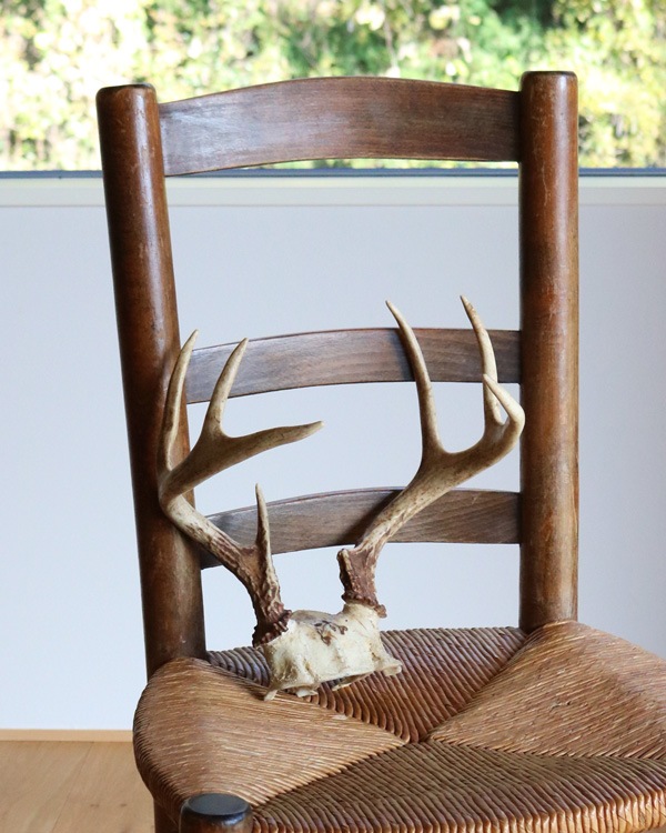 Deer Antler A�ü��γ� A