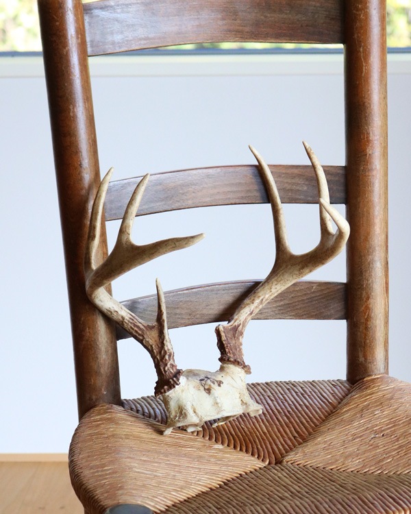 Deer Antler A�ü��γ� A
