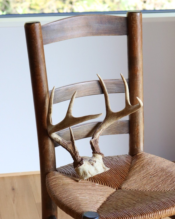Deer Antler A�ü��γ� A