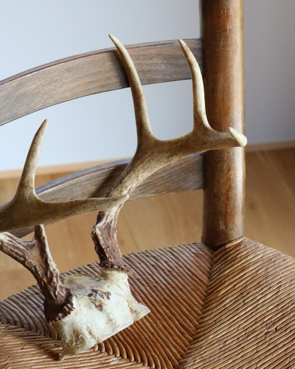 Deer Antler A�ü��γ� A